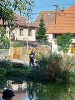 Časy