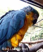 ZOO Praha