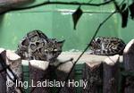 ZOO Praha