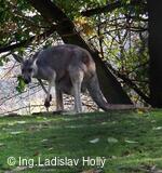 ZOO Praha