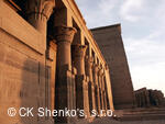 CK SHENKO´S