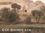 CK SHENKO´S