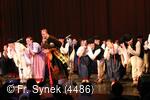 Mezinárodní armádní festival Rožnovská Valaška