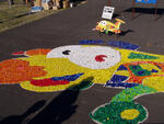 Bambiriáda 2005 - Ostrava