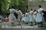 Mezinárodní armádní festival Rožnovská Valaška