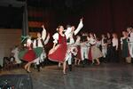 Mezinárodní armádní festival Rožnovská Valaška
