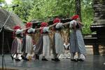 Mezinárodní armádní festival Rožnovská Valaška