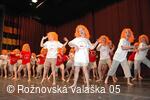 Mezinárodní armádní festival Rožnovská Valaška