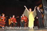 Mezinárodní armádní festival Rožnovská Valaška