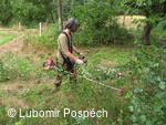 Přírodní památka Pod Hřibovňou