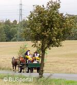 Mezinárodní folklorní festival Česká náves - Dýšina
