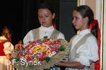 Mezinárodní folklorní festival Písní a tancem