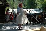 Mezinárodní armádní festival Rožnovská Valaška