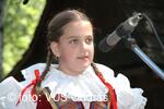 Mezinárodní armádní festival Rožnovská Valaška