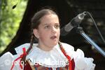 Mezinárodní armádní festival Rožnovská Valaška