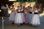 Folklorní festival Slezské dny