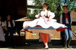 Folklorní festival Slezské dny