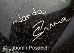 Průvodce a fotograf krajiny Bílých Karpat