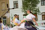 Mezinárodní folklorní festival Frýdek-Místek