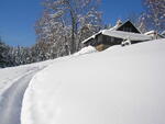 Skurečená 2009