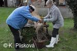 Petřvald