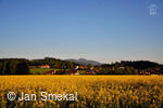 Foto Jan Smekal