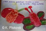 Obecní knihovna v Petřvaldě - knihovna, kde jste doma!